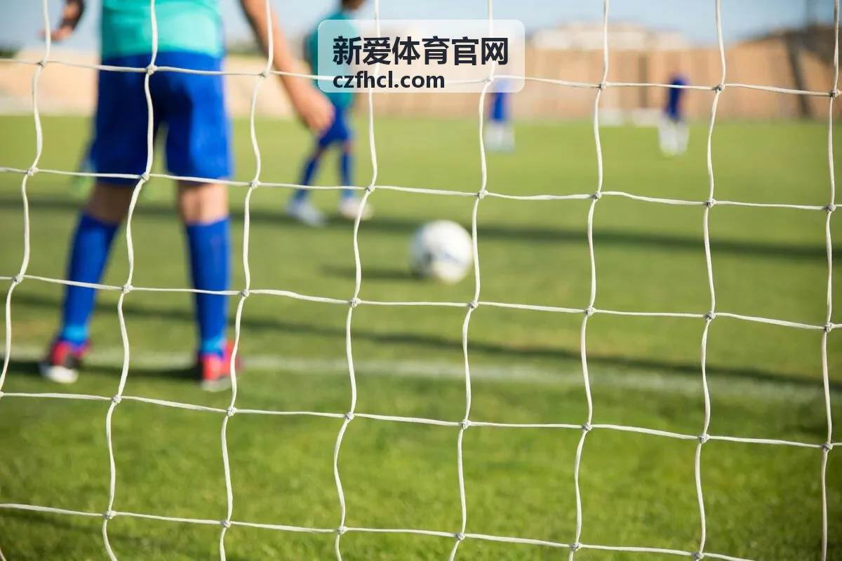 新爱体育官网体育器材采购 场馆器材安装现场