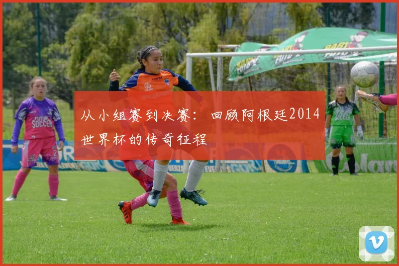从小组赛到决赛：回顾阿根廷2014世界杯的传奇征程