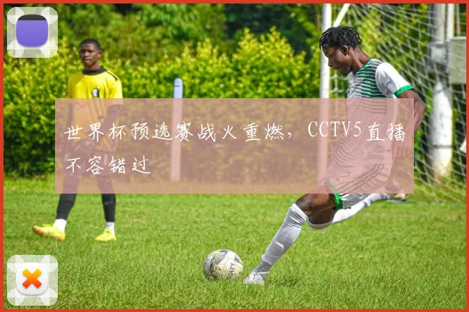 世界杯预选赛战火重燃，CCTV5直播不容错过