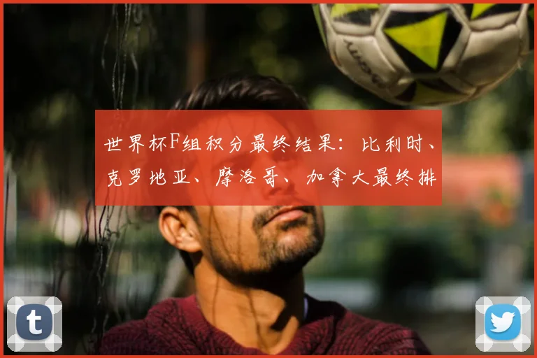 世界杯F组积分最终结果：比利时、克罗地亚、摩洛哥、加拿大最终排名