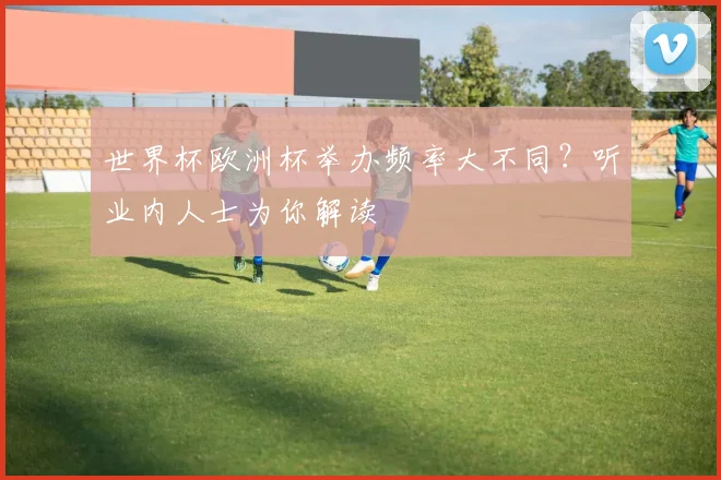 世界杯欧洲杯举办频率大不同?听业内人士为你解读