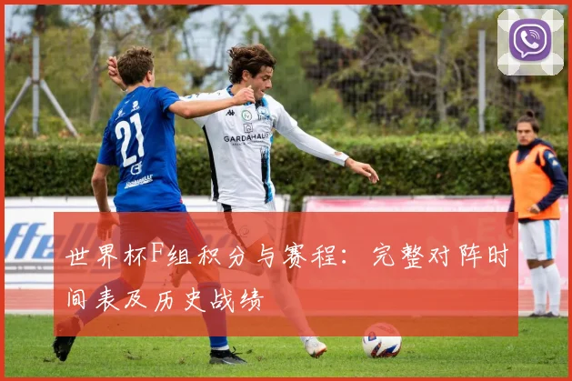 世界杯F组积分与赛程:完整对阵时间表及历史战绩