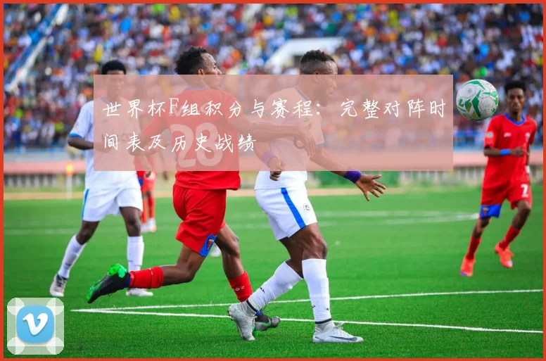 世界杯F组积分与赛程:完整对阵时间表及历史战绩