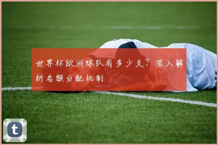 世界杯欧洲球队有多少支？深入解析名额分配机制