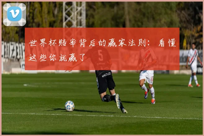 世界杯赔率背后的赢家法则:看懂这些你就赢了